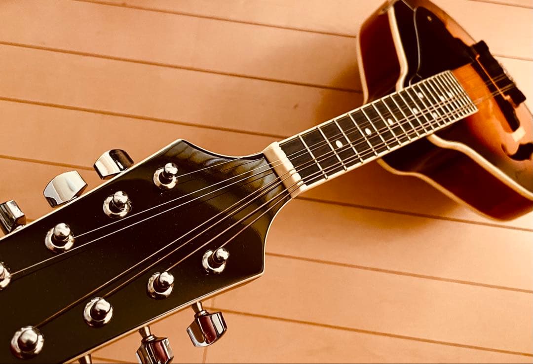 PLAYTECH フラットマンドリン 美品