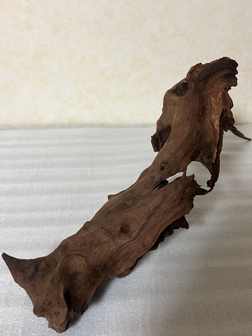 HX-061流木　マシンガンウッド　ホーンウッド アクアリウム　沈水確認済