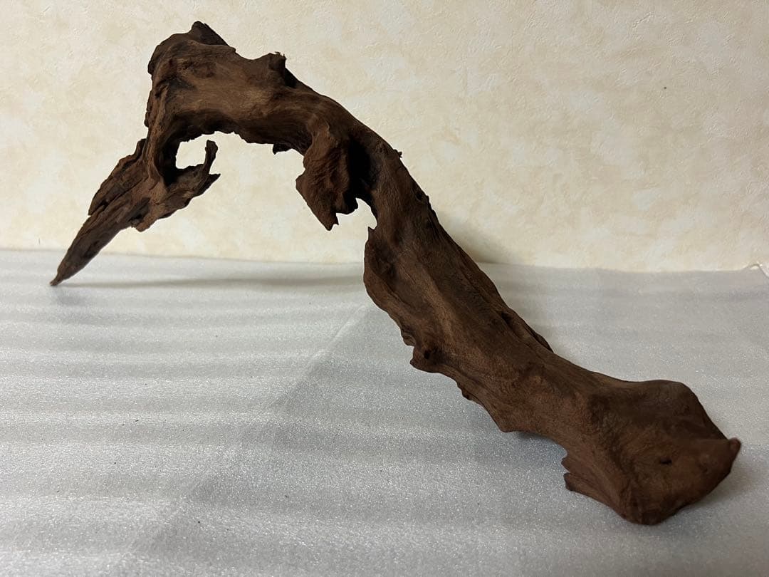 HX-061流木　マシンガンウッド　ホーンウッド アクアリウム　沈水確認済