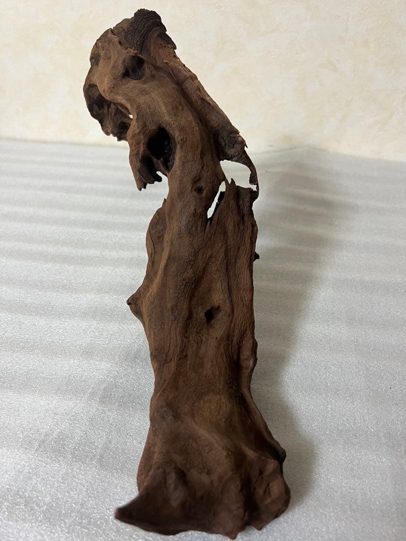 HX-061流木　マシンガンウッド　ホーンウッド アクアリウム　沈水確認済