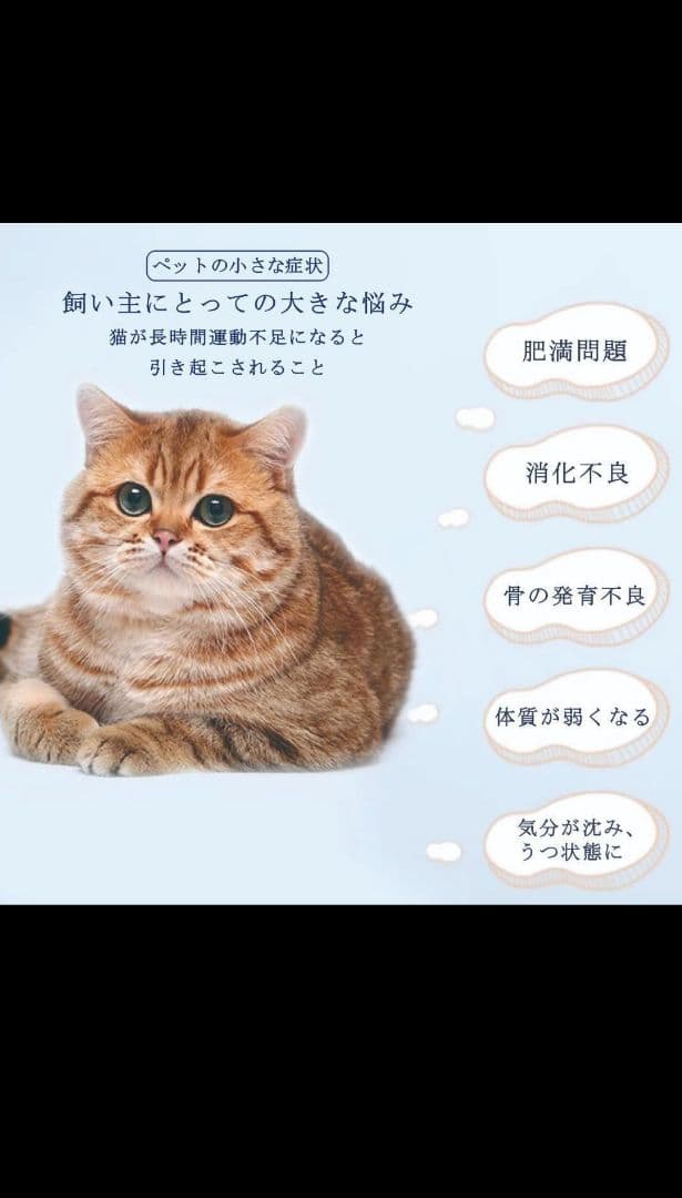 m*6様 キャットホイール 大 グレー 滑り止め付き