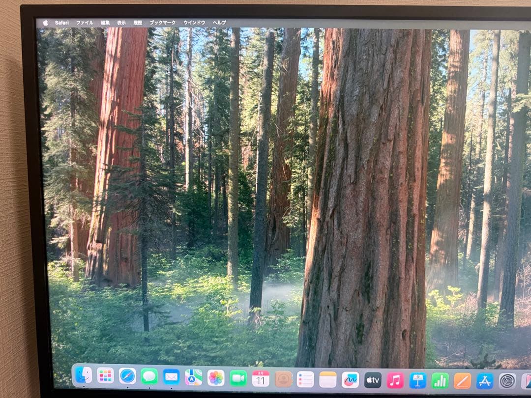 がんちゃん 　モニター ディスプレイ 32UD59-B 31.5インチ