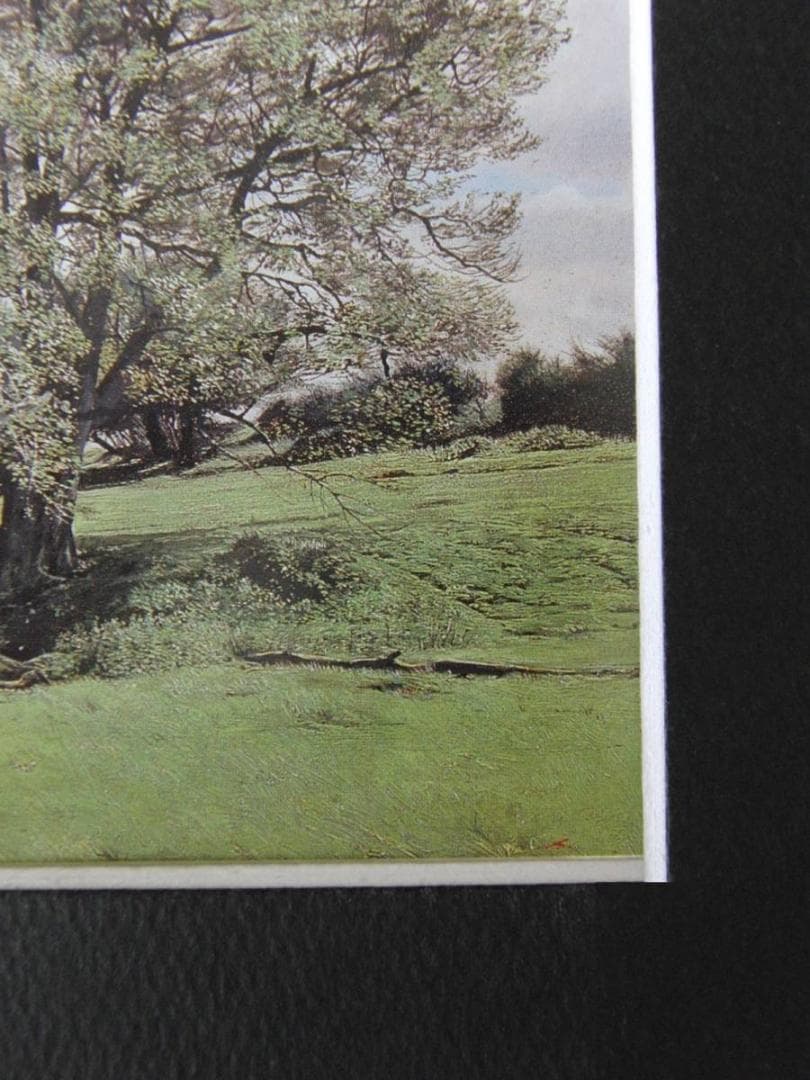 原雅幸、【Chiddingstoneの新緑】、希少な額装用画集より、新品額装付