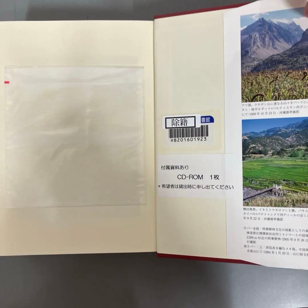 ここ断捨離中　「中尾佐助 照葉樹林文化論」の展開