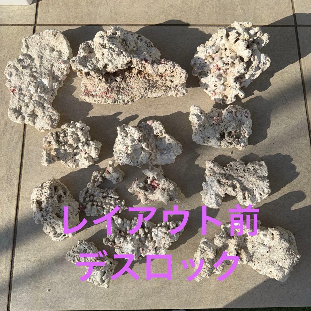 【値下げ】ガラス水槽 SET