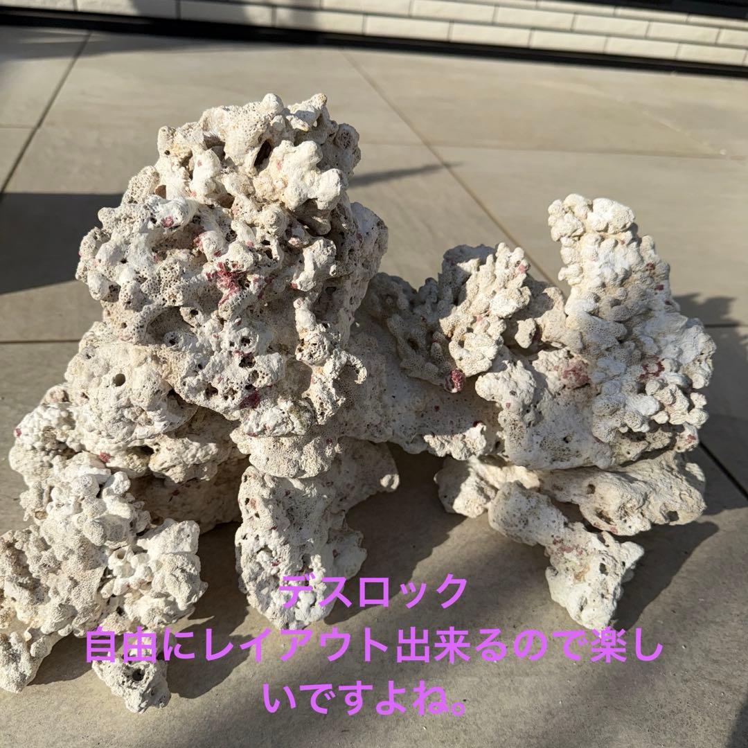 【値下げ】ガラス水槽 SET