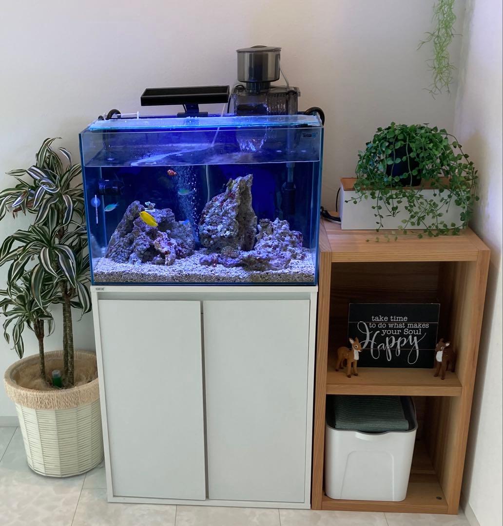 【値下げ】ガラス水槽 SET