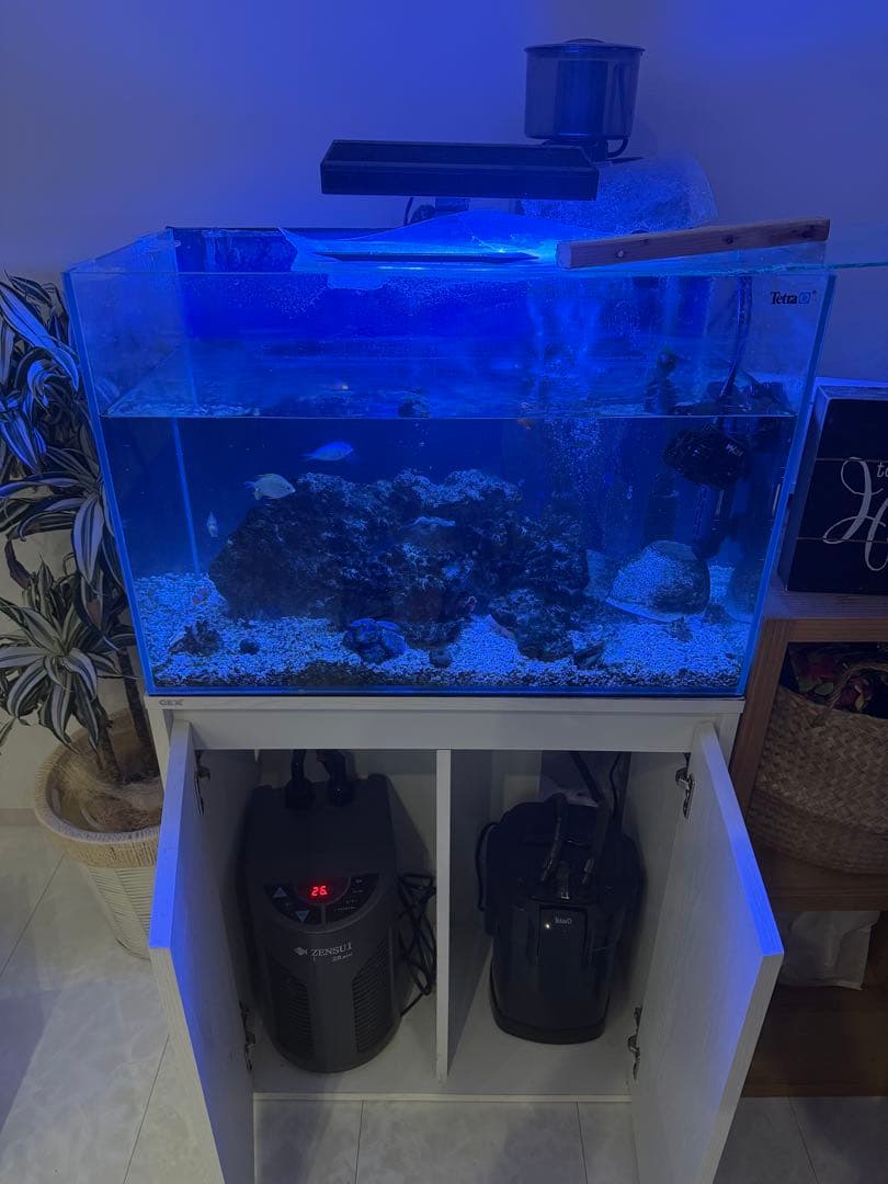 【値下げ】ガラス水槽 SET