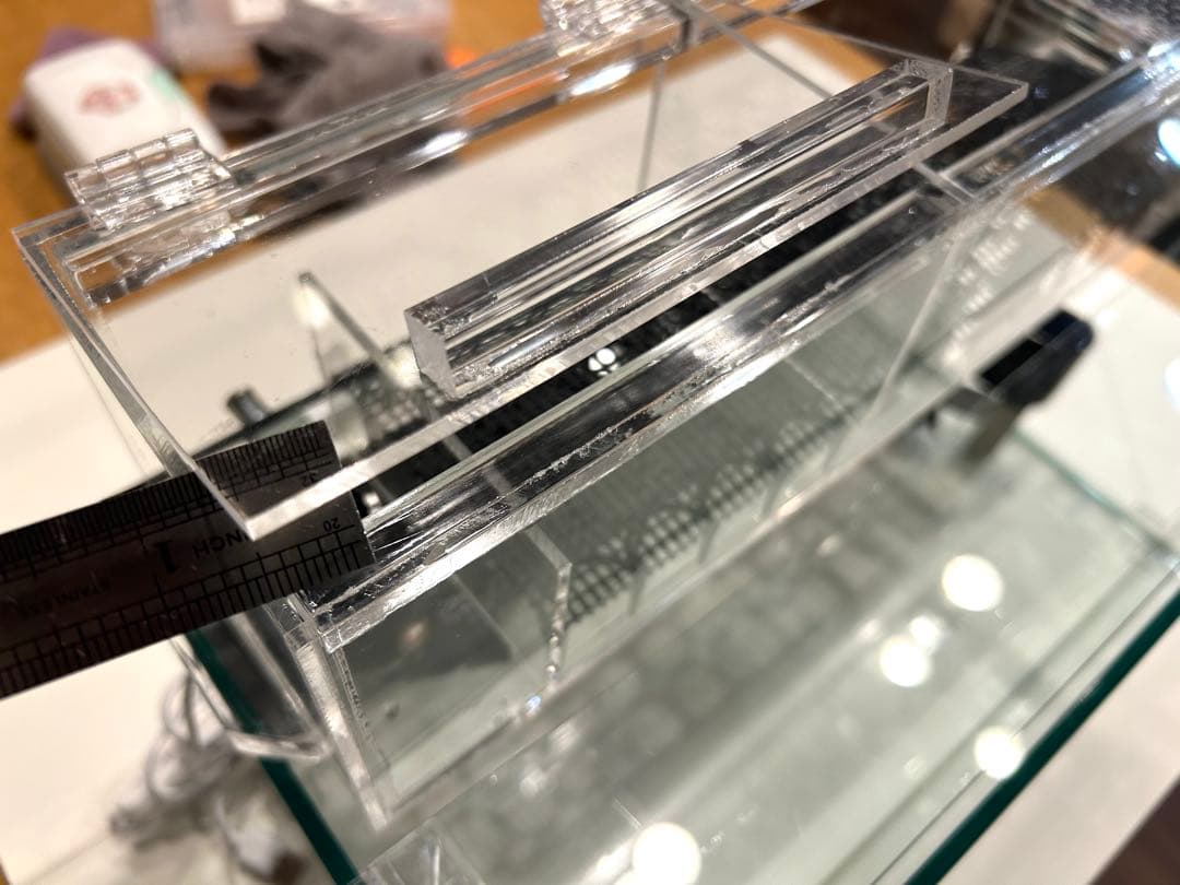 W450ガラス水槽20Lアクアリウム水槽アクアポニックス（観葉植物）仕様