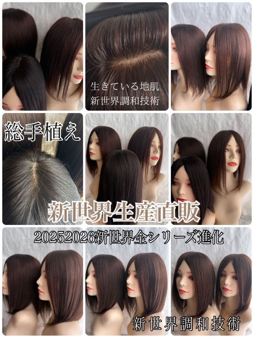 2025新世界　人毛　ウィッグ　フルウィッグ　シルクスキン　医療ウィッグ　レミー
