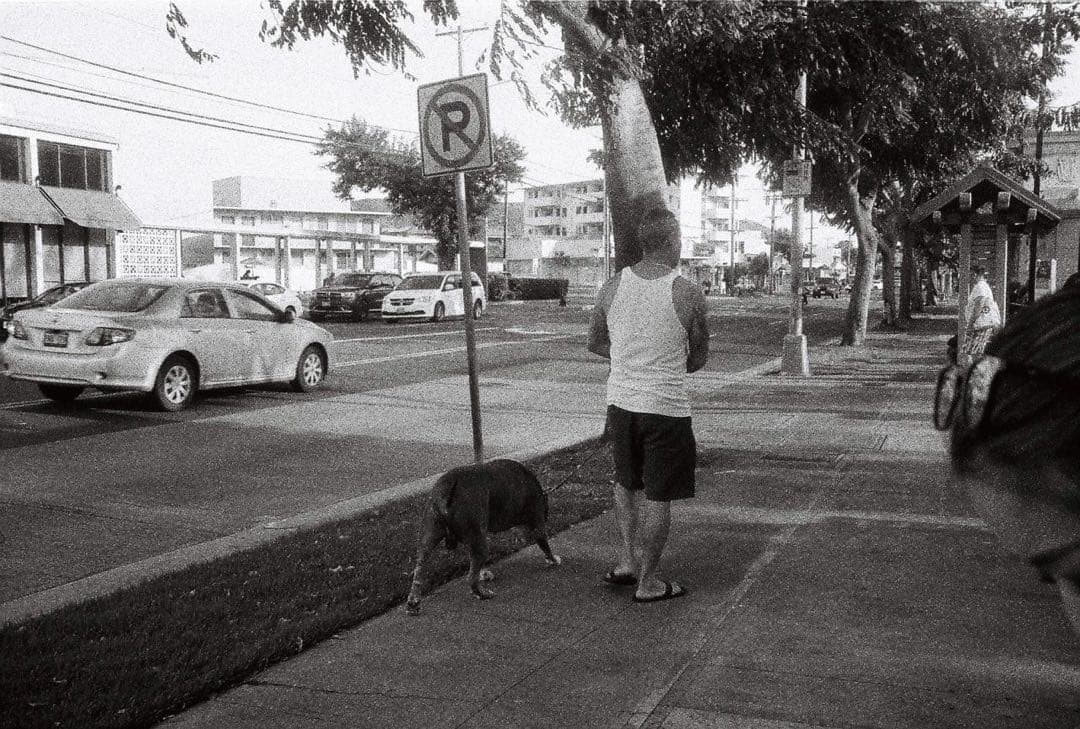 OLYMPUS ZOOM∞Stylus zoom panorama