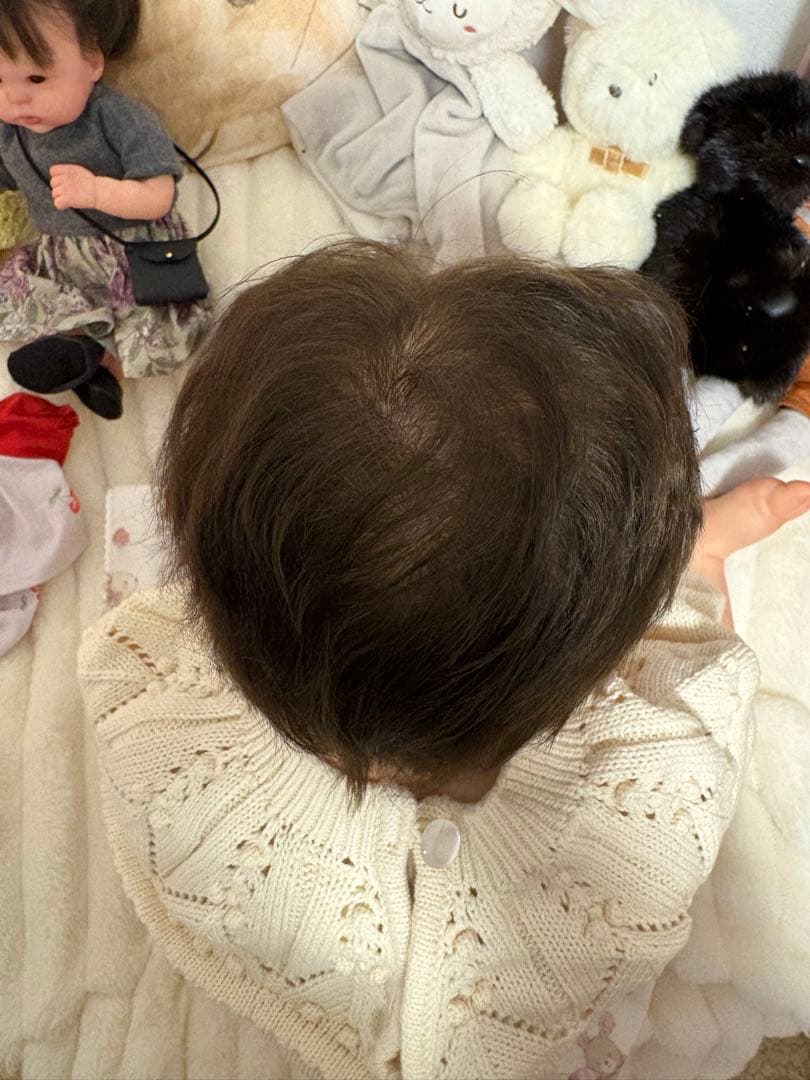 Ashiaアシアちゃん限定1111/2000 正規品、証明書付き、お腹プレート