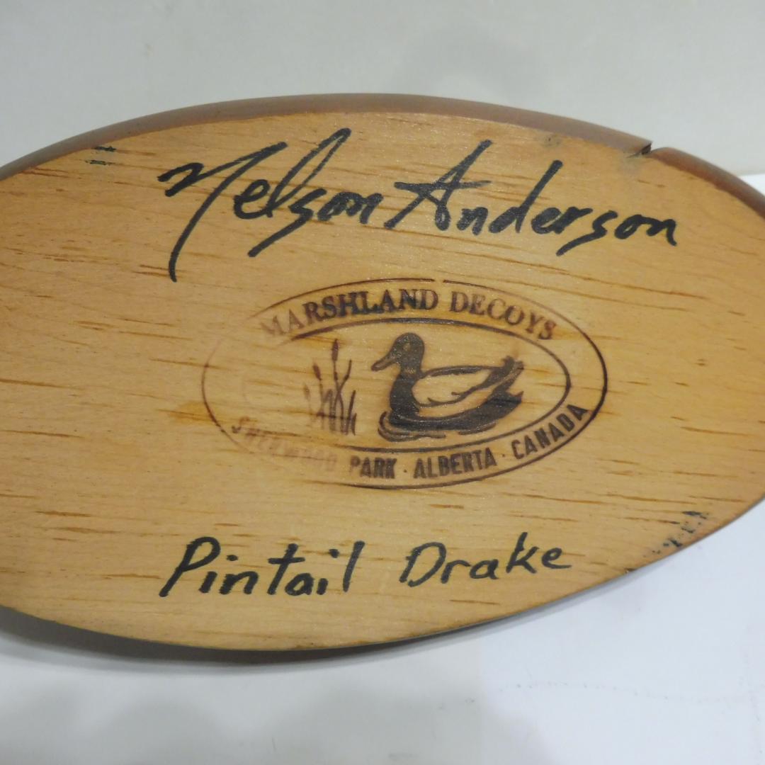 デコイ 鴨 水鳥 尾長鴨 Pintail Drakeのデコイ