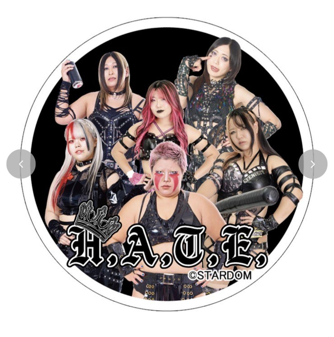 スターダム　上谷沙弥　スウェット上下　Ｌ　ジップパーカー&ジョガーパンツ