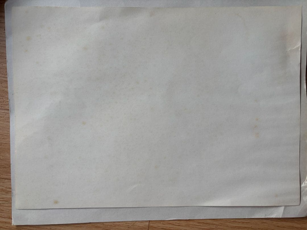 カムイ伝 複製原画「逃散」（1995年小学館文庫＆小学館叢書フェア）