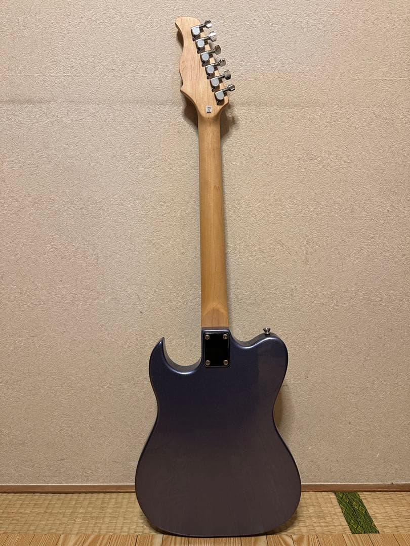 PLAYTECH プレイテック　テレキャスター系　エレキギター