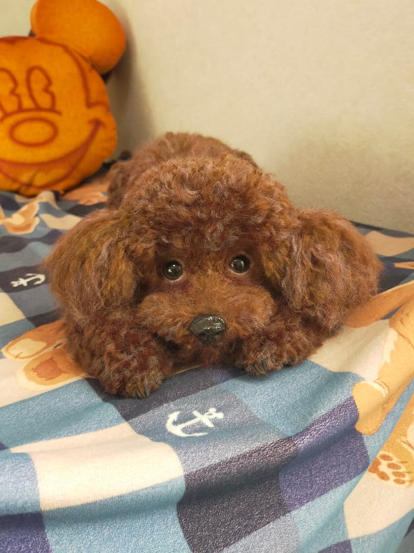 ぶんくりオーダーページ♡