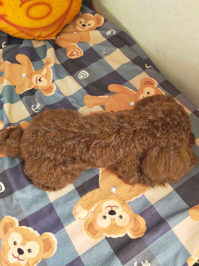 ぶんくりオーダーページ♡