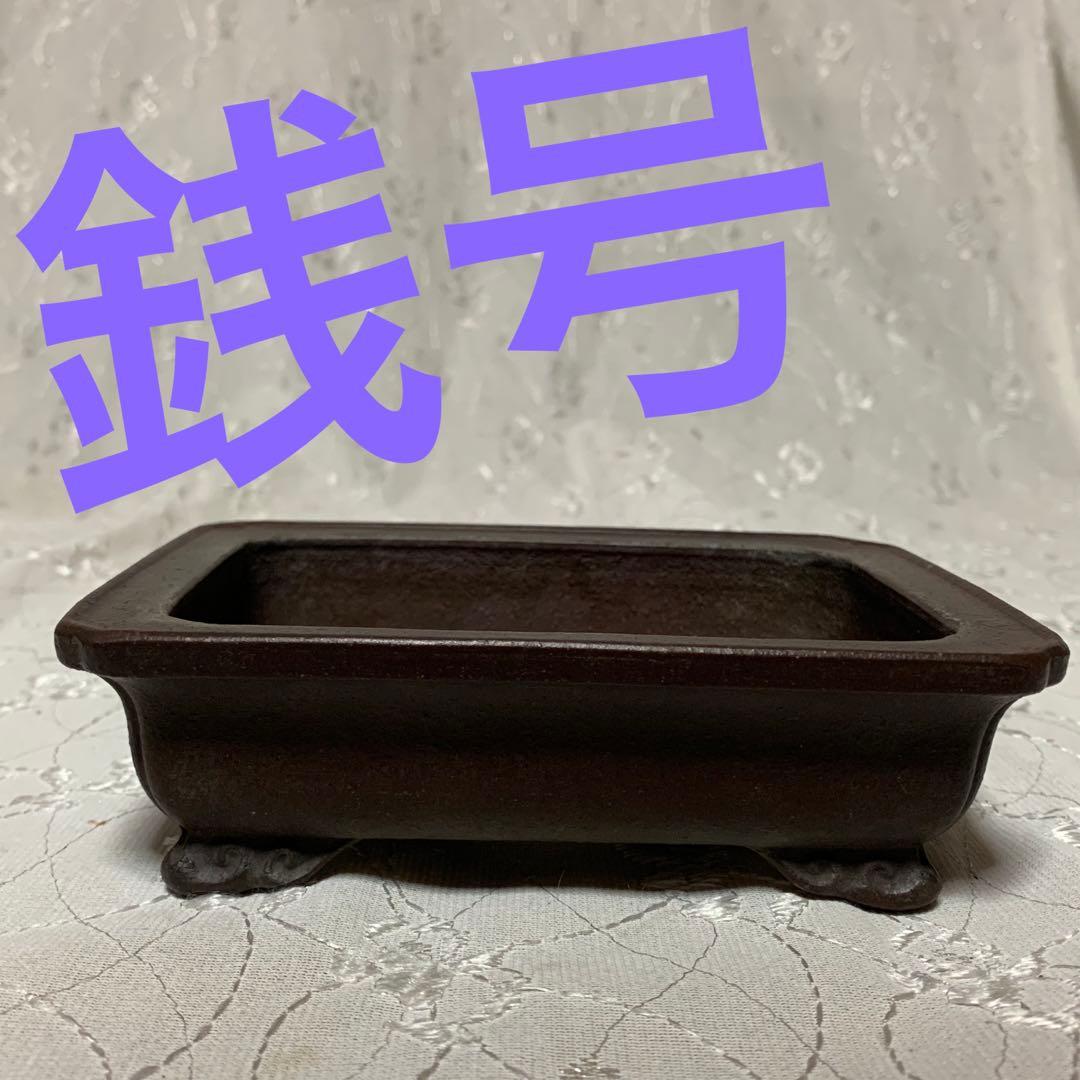 銭号　ほつれあり　訳あり　盆栽鉢