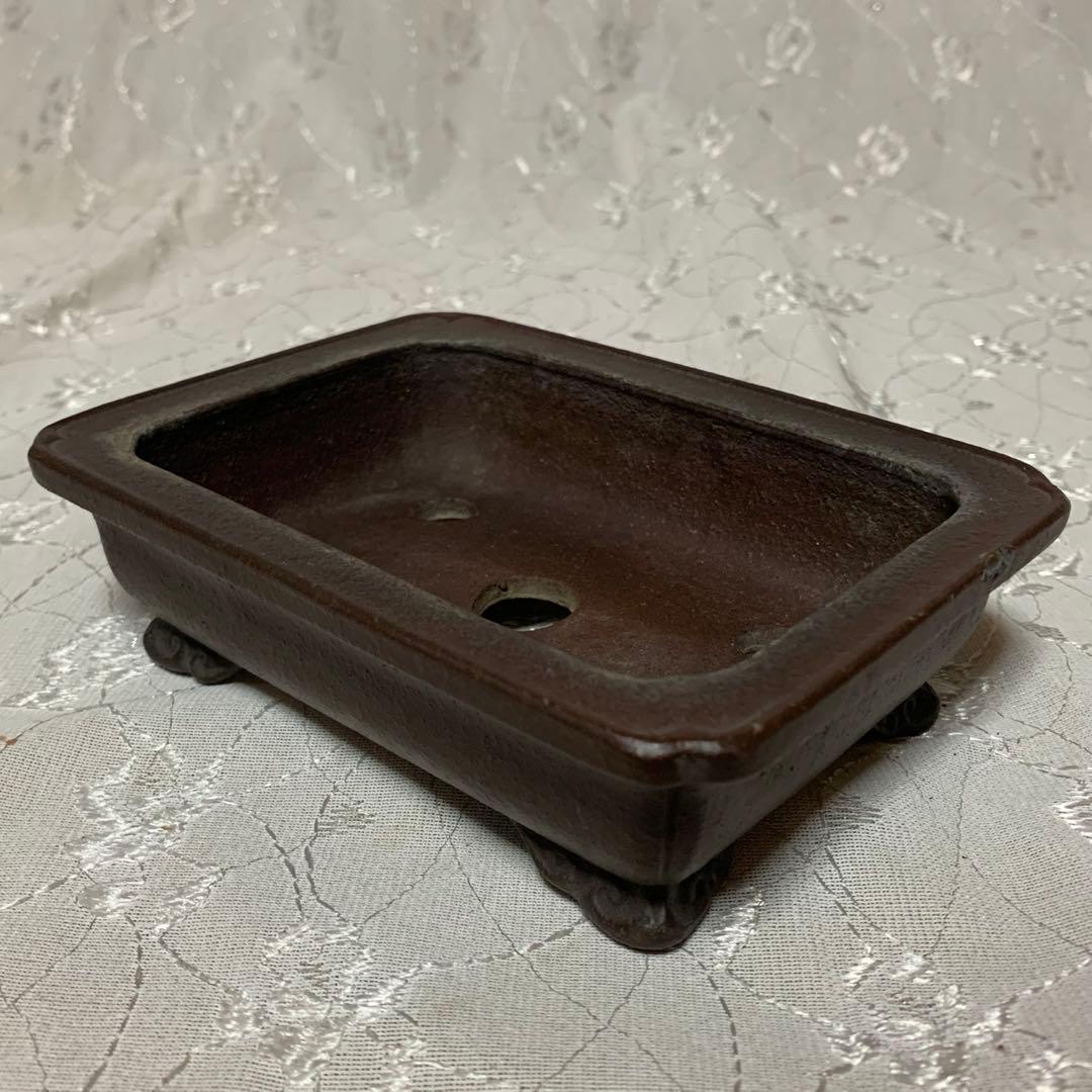 銭号　ほつれあり　訳あり　盆栽鉢