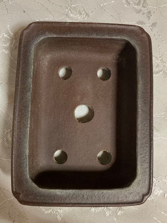 銭号　ほつれあり　訳あり　盆栽鉢