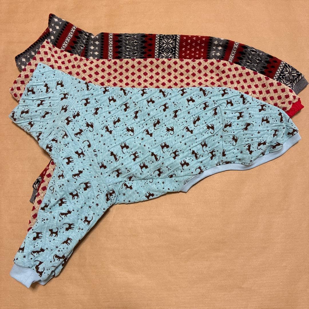 専用品　ウィペット　Lサイズ　6枚セット