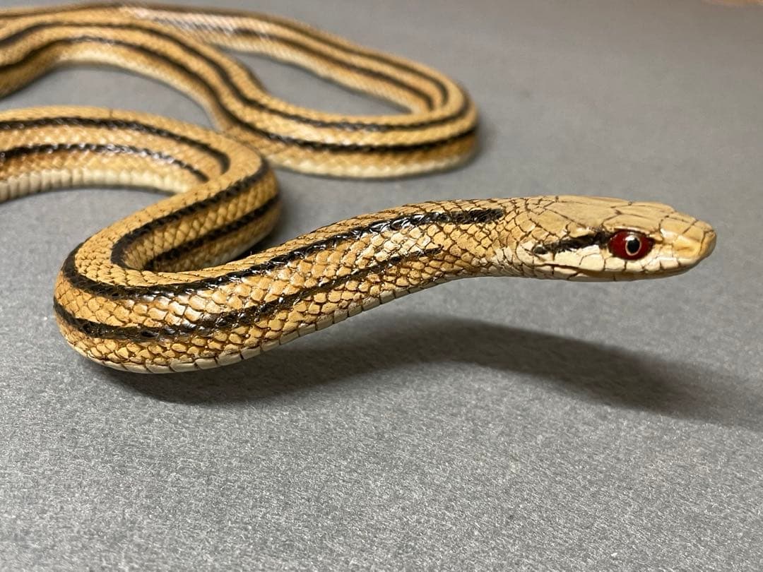 シマヘビ（レプリカ）