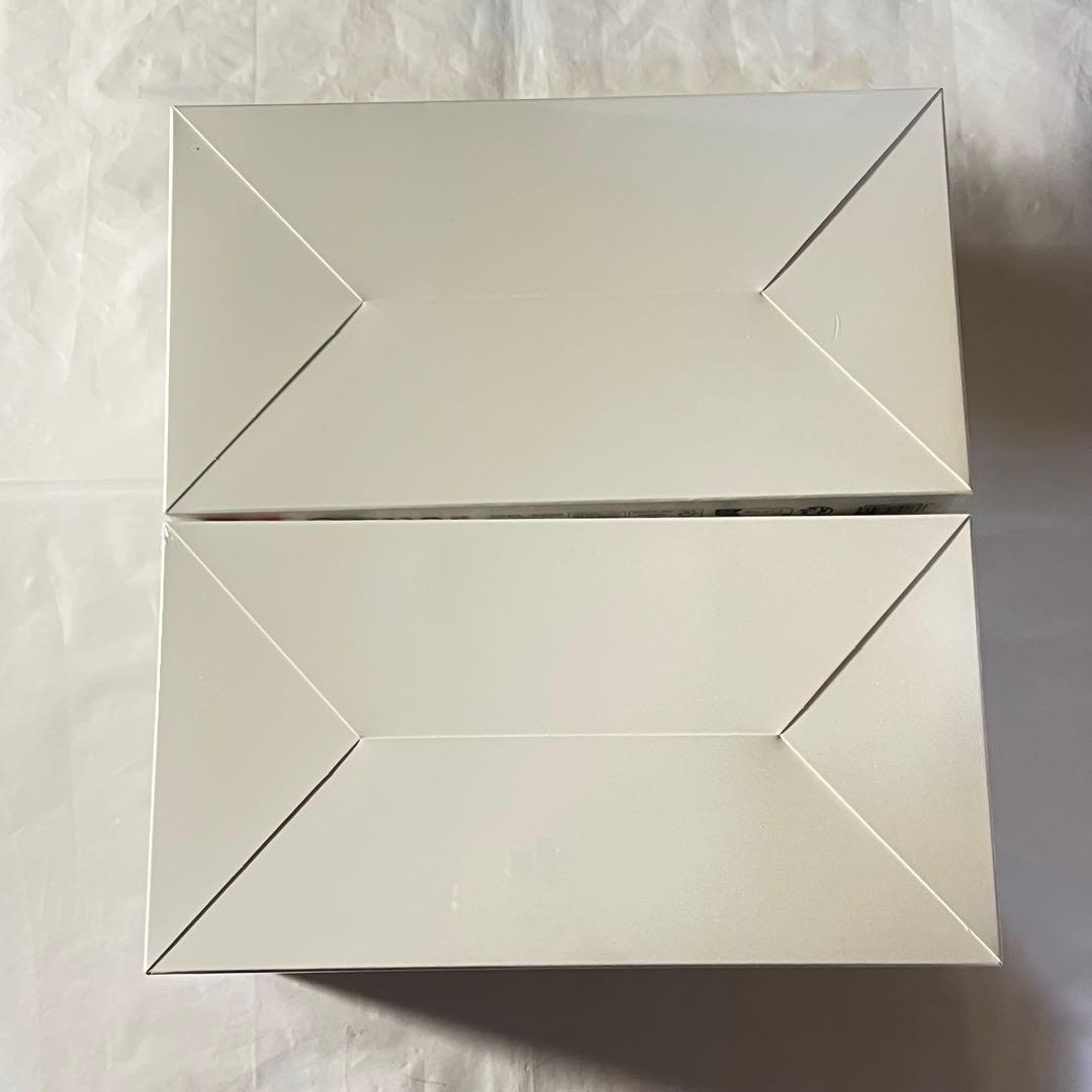 【未開封】ラブブ Big into Energy アソートボックス 正規品　2箱