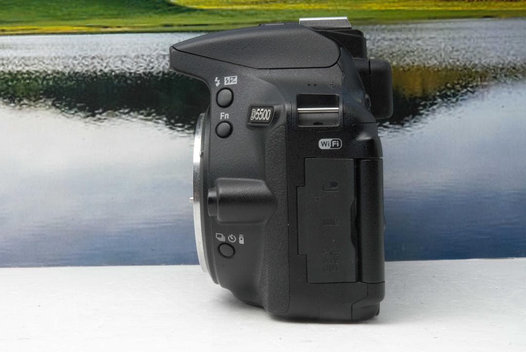 初心者向け　Nikon D5500 高性能 Wi-Fi搭載 届いてすぐ使える