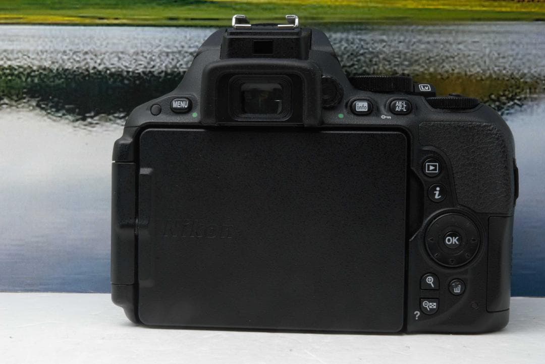 初心者向け　Nikon D5500 高性能 Wi-Fi搭載 届いてすぐ使える