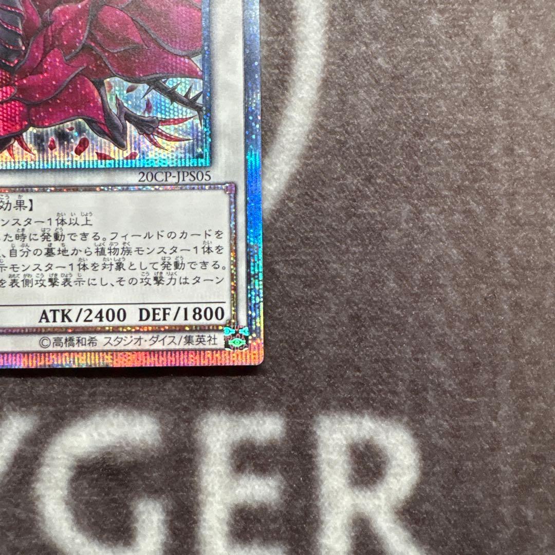 遊戯王　ブラックローズドラゴン　20thシークレットレア