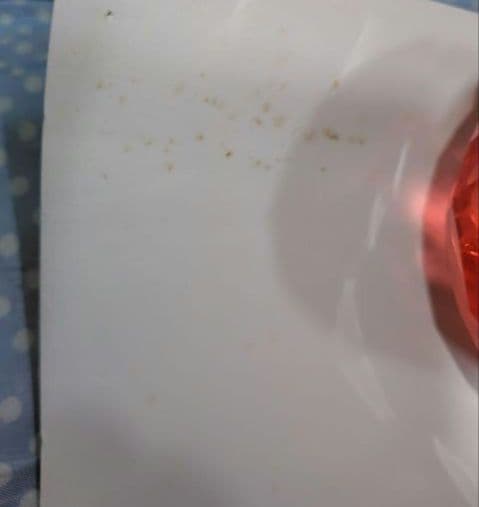 ミスチル　It's a wonderful world　ポスター　特大