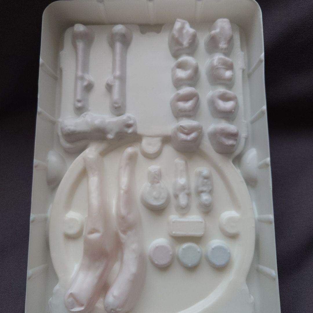 S.H.Figuarts 真骨頂　真骨彫製法　仮面ライダー響鬼　10th