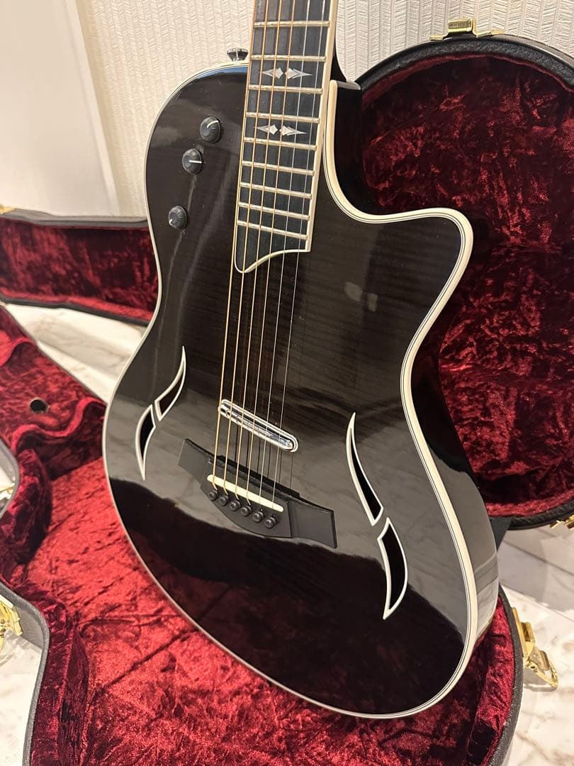 テイラーTaylor T5z Pro GAL