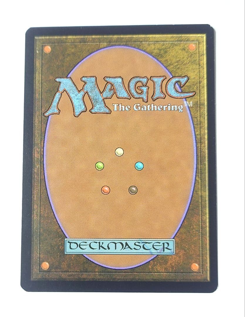 MTG 苦花 FOIL 英語版 初版 モーニングタイド ①