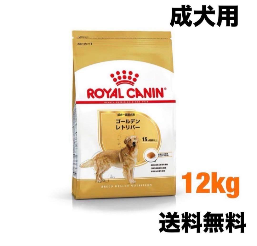  CANIN ゴールデンレトリバー12kg