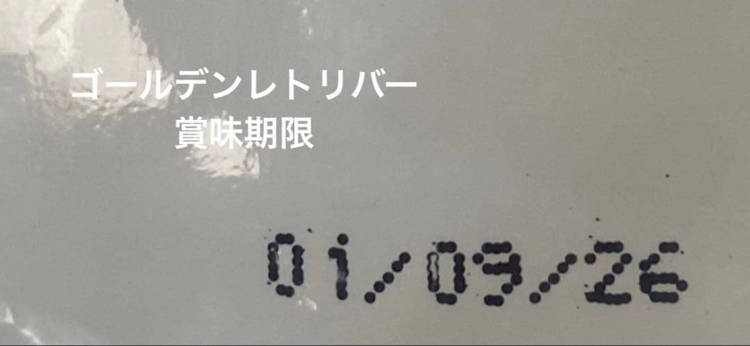  CANIN ゴールデンレトリバー12kg