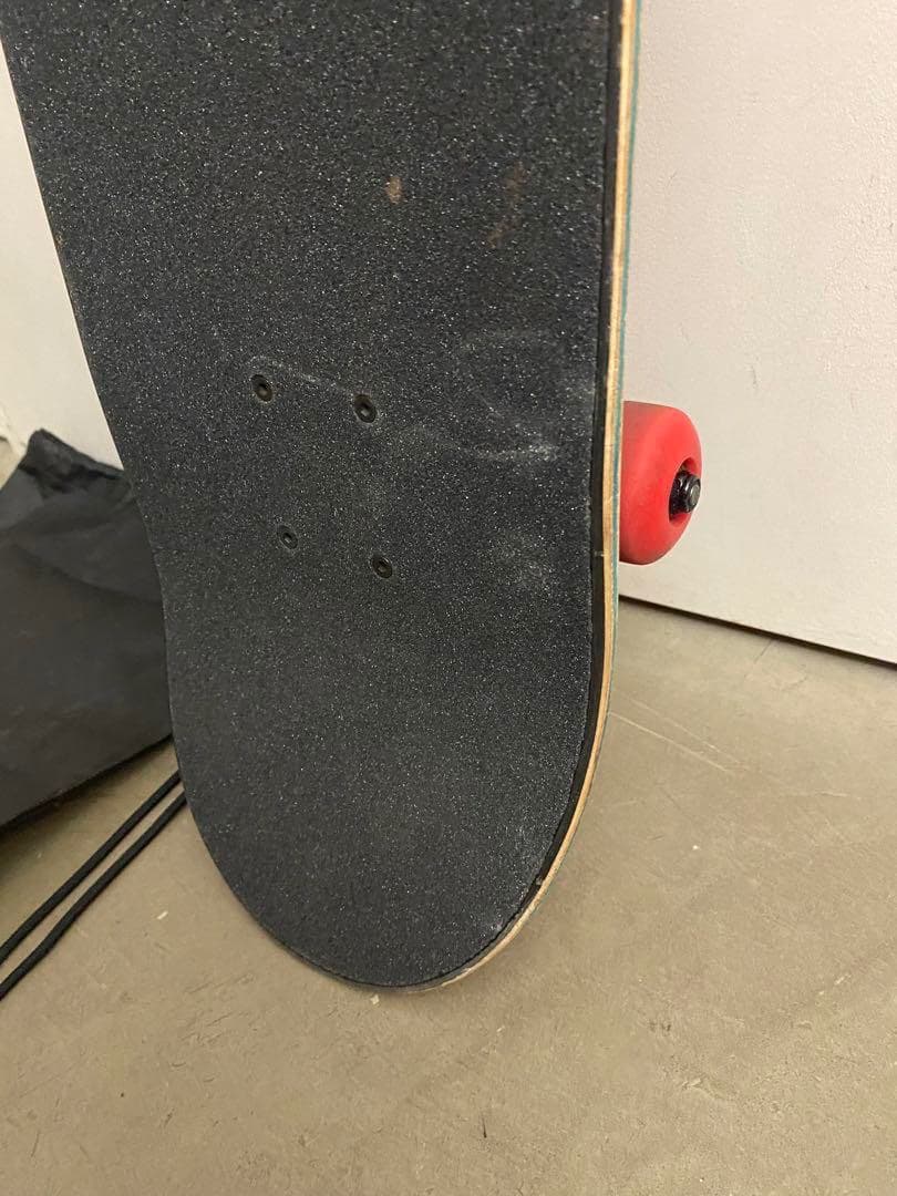 む*様 Santa Cruz スケートボード コンプリート スケボー サンタクル