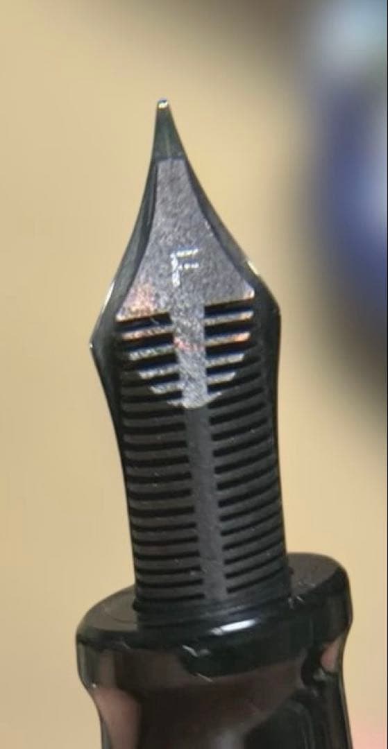 【万年筆】アウロラ　タレンタム　ブラック　F