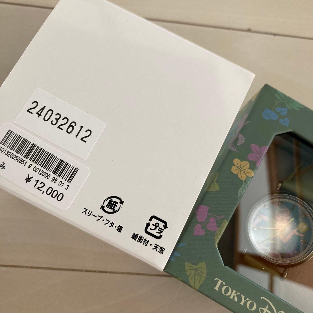 【レア✨】ディズニーシー　ピーターパン　ネバーランド　腕時計