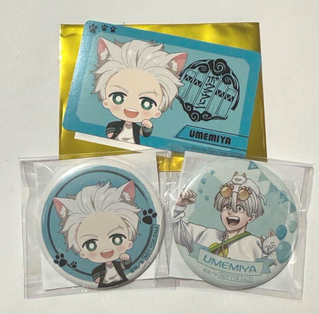 梅宮一 WIND BREAKER ウィンブレ ナンジャタウン 缶バッジ カード