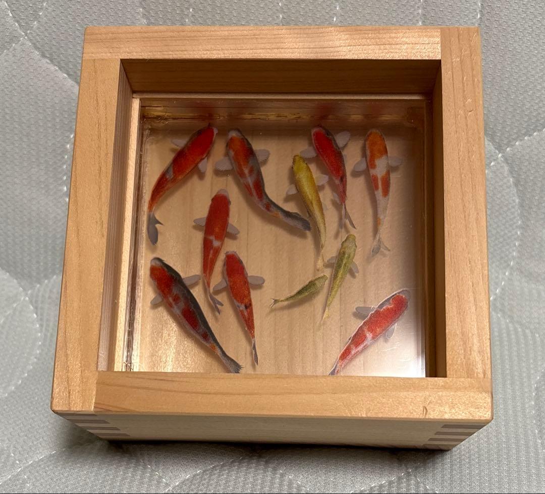 《限定SALE‼︎》錦鯉 デザイン 木製 アクリルアート