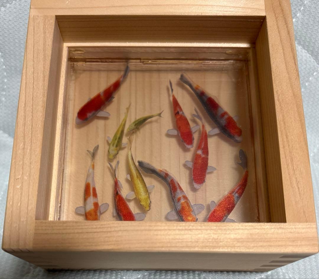 《限定SALE‼︎》錦鯉 デザイン 木製 アクリルアート