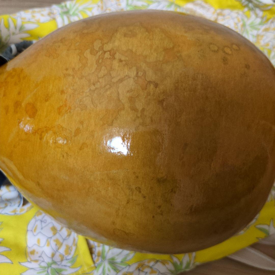 超美品❗️イプヘケ　フラダンス楽器