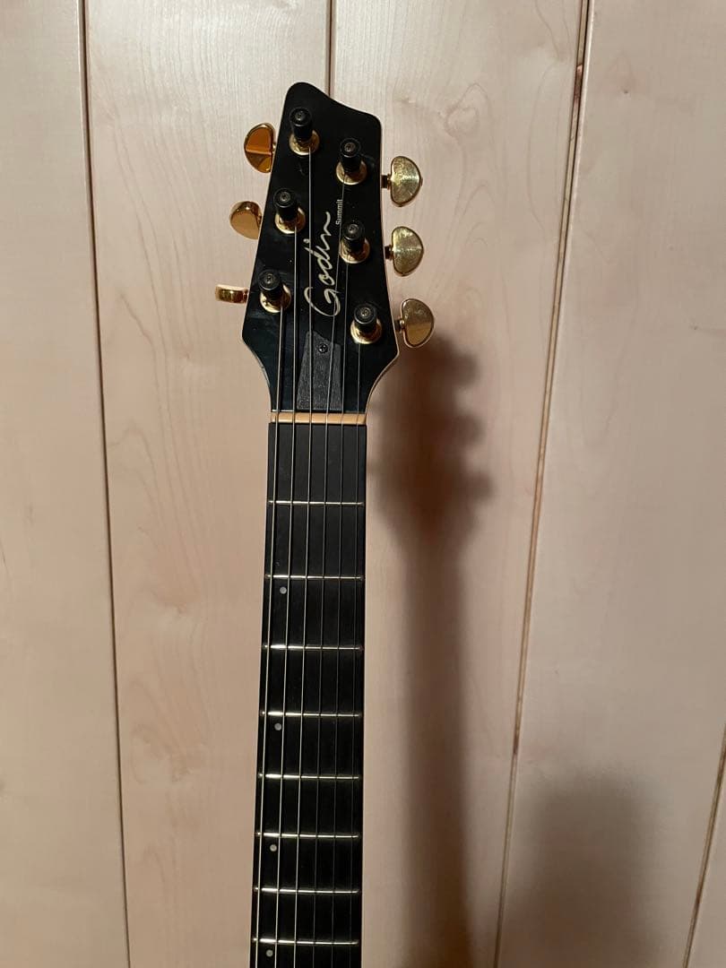 godin セミアコ　ゴダン　ギター　アコギ　dimarzio