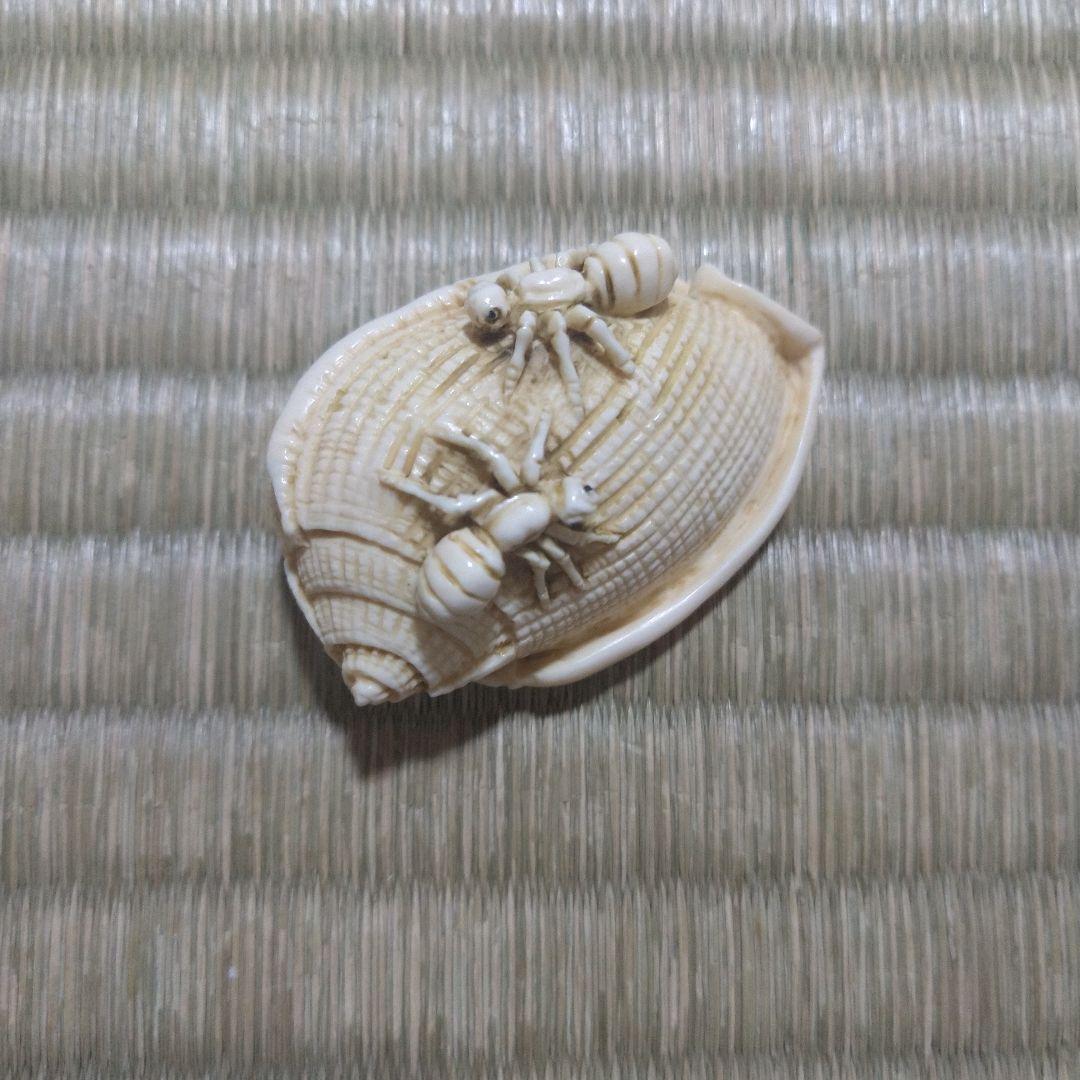 マンモス牙彫　根付　帯留　貝殻に蟻