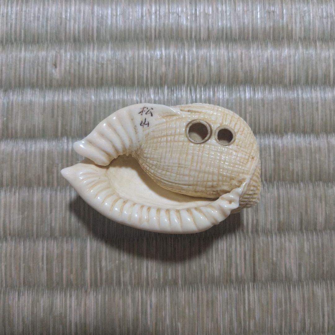 マンモス牙彫　根付　帯留　貝殻に蟻