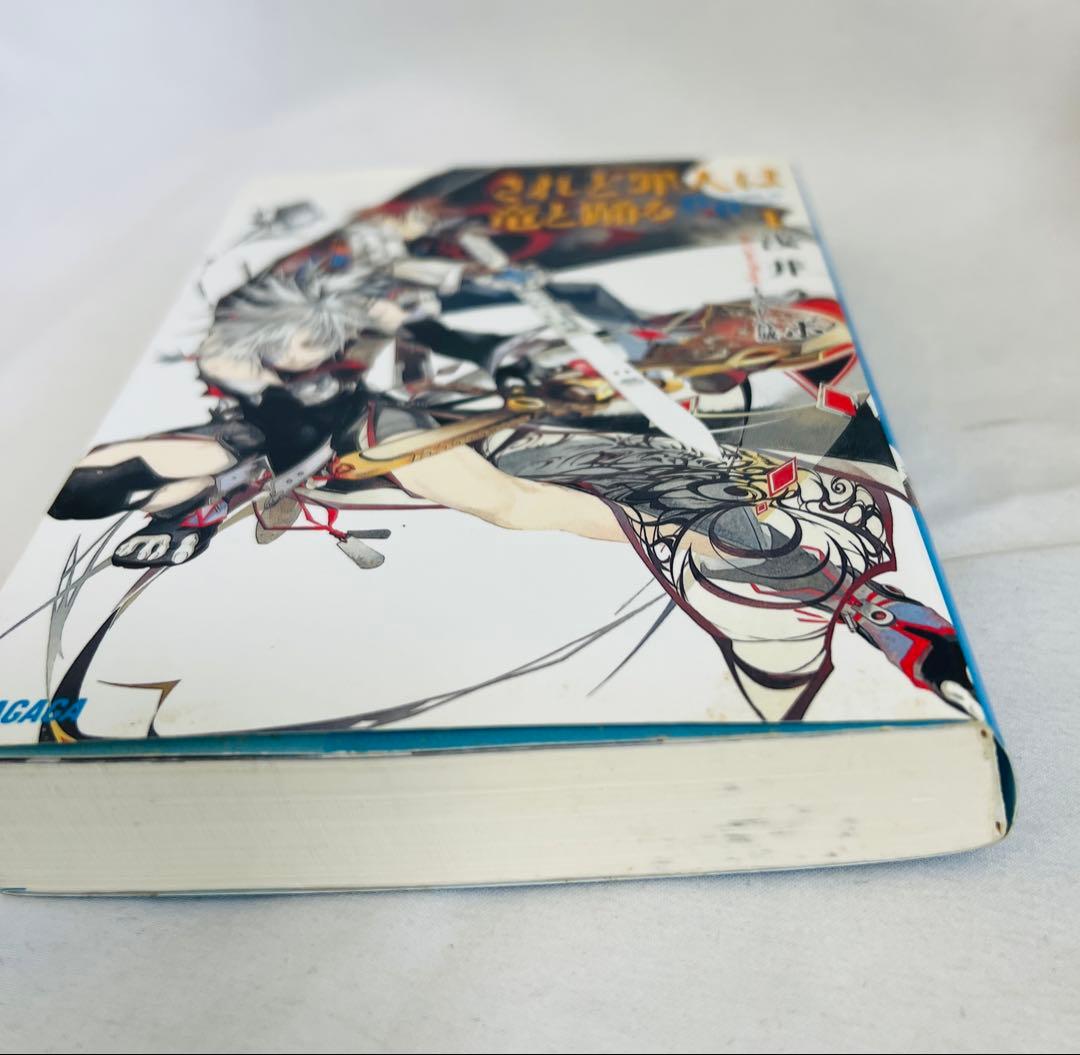 されど罪人は竜と踊る 1〜24 + 0.5,オルケストラ全巻セット