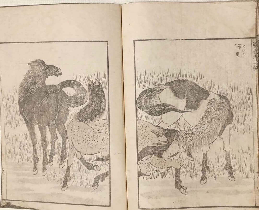 北斎漫画14編三色木版画本、葛飾北斎画、書肆永楽屋出版年嘉永以降江戸版