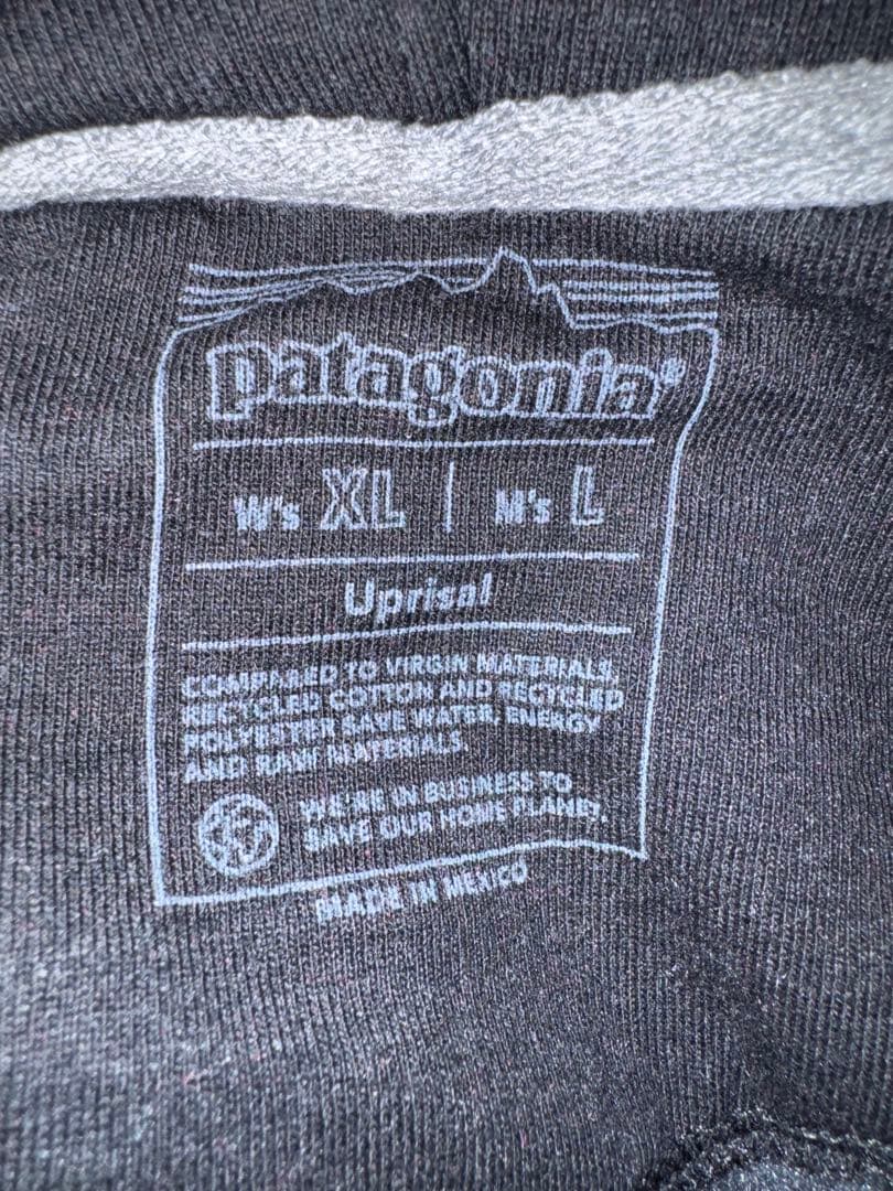 Patagonia フィッツロイ・アイコン・アップライザル・フーディ 39666